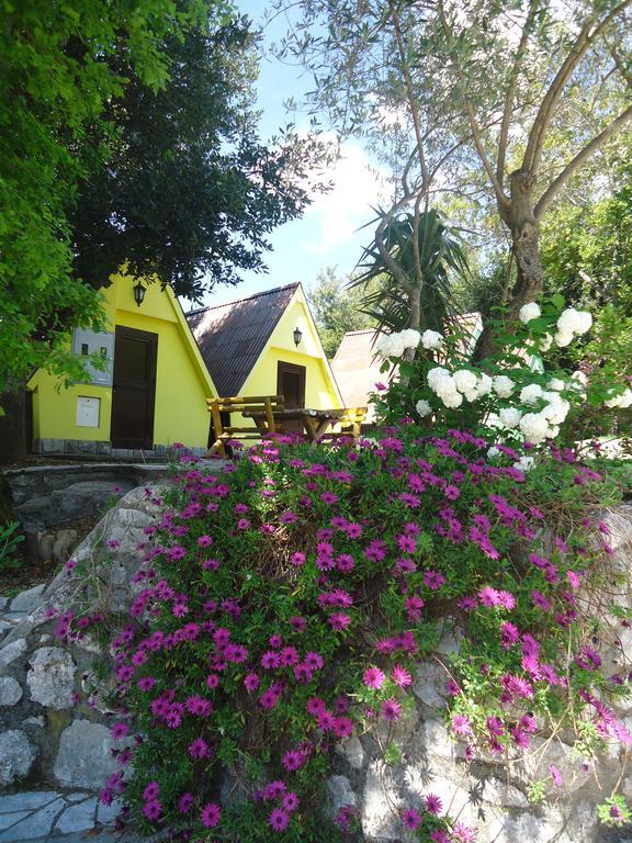Apartments And Bungalows Mimoza Baosici Херцег Нови Екстериор снимка