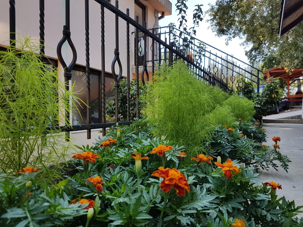 Apartments And Bungalows Mimoza Baosici Херцег Нови Екстериор снимка
